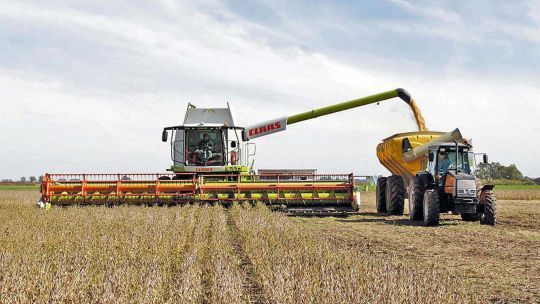 Cómo quedan las retenciones al campo tras la rebaja temporal anunciada por Caputo