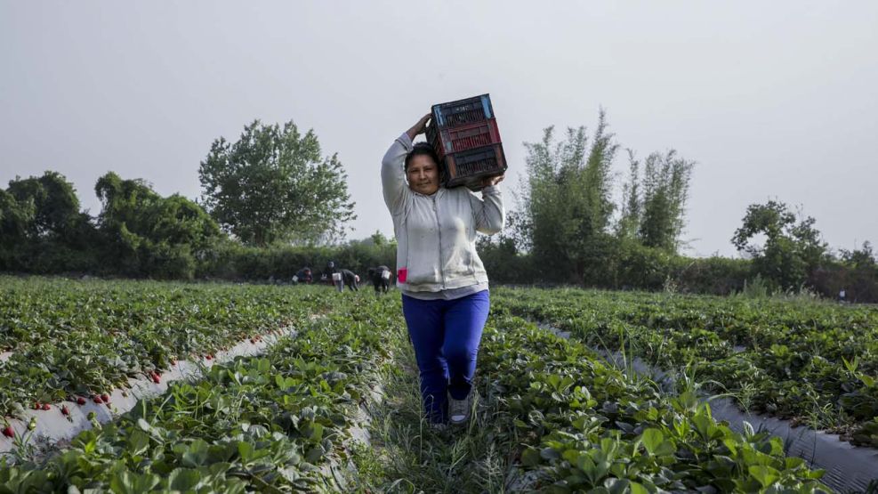 mujeres rurales