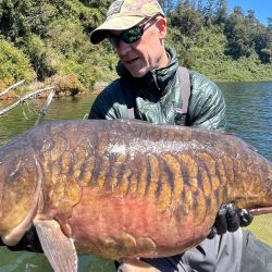 Este pescador tuvo un gran día de pesca, ya que en la misma jornada logró más de una docena de capturas. 