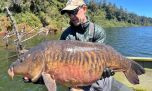 Carpa récord con mosca en Puerto Varas