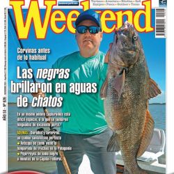 Vamos por los chatos en tu revista Weekend de noviembre.