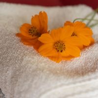 Transformá tu vida: Retiro de Mindfulness y Salud del 16 al 18 de Noviembre