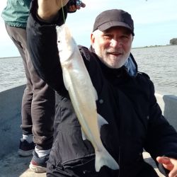 Si hay viento el pejerrey come mejor y aumenta la calidad de las capturas. Hay mucho peje de 400 g que se va eligiendo a medida que se hace la pesca, y cada tanto aparece alguna sorpresa de las gratas. 