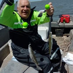 Si hay viento el pejerrey come mejor y aumenta la calidad de las capturas. Hay mucho peje de 400 g que se va eligiendo a medida que se hace la pesca, y cada tanto aparece alguna sorpresa de las gratas. 