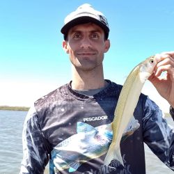 Si hay viento el pejerrey come mejor y aumenta la calidad de las capturas. Hay mucho peje de 400 g que se va eligiendo a medida que se hace la pesca, y cada tanto aparece alguna sorpresa de las gratas. 