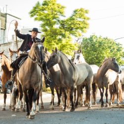 A 270 km de CABA: Tapalqué celebre su 161 cumpleaños con asado multitudinario.