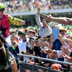 El jockey irlandés Robbie Dolan choca los cinco con un fanático después de haber ganado con su caballo Knight's Choice la carrera de caballos Melbourne Cup, premiada con 8 millones de dólares australianos (5,25 millones de dólares estadounidenses), en el hipódromo Flemington en Melbourne. | Foto:William West / AFP