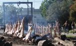 A 270 km de CABA: Tapalqué celebra su 161 cumpleaños con asado multitudinario