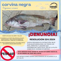 De acuerdo con la ley 19.175 sobre la conservación de los “recursos hidrobiológicos y ecosistemas”, se adecuará una multa ante el incumplimiento de la norma. Dicha infracción no tiene un precio fijo y se adecuará según la severidad, con un rango de 2 a 2000 unidades reajustables.