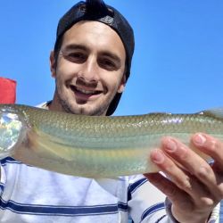 La pesca se da casi exclusivamente con paternóster o a fondo, pero desde abril hasta agosto disfrutaron de infinidad de piques en la modalidad que a todos les gusta, el flote. 