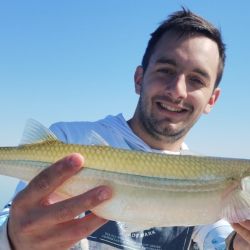 La pesca se da casi exclusivamente con paternóster o a fondo, pero desde abril hasta agosto disfrutaron de infinidad de piques en la modalidad que a todos les gusta, el flote. 