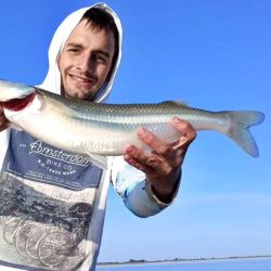 La pesca se da casi exclusivamente con paternóster o a fondo, pero desde abril hasta agosto disfrutaron de infinidad de piques en la modalidad que a todos les gusta, el flote. 