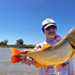 Mucha acción de dorados de mucha calidad, momento para aprovechar tanto por los amantes de bait como así también los de spinning.