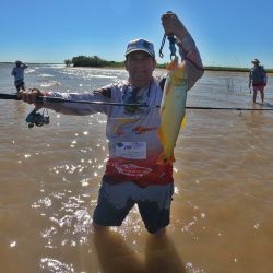 Mucha acción de dorados de mucha calidad, momento para aprovechar tanto por los amantes de bait como así también los de spinning.