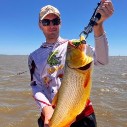 Mucha acción de dorados de mucha calidad, momento para aprovechar tanto por los amantes de bait como así también los de spinning.