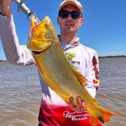 Mucha acción de dorados de mucha calidad, momento para aprovechar tanto por los amantes de bait como así también los de spinning.