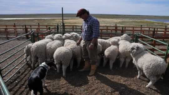 Productores de la Patagonia cargaron contra el Gobierno por el levantamiento de la barrera sanitaria: “Nos mintieron”