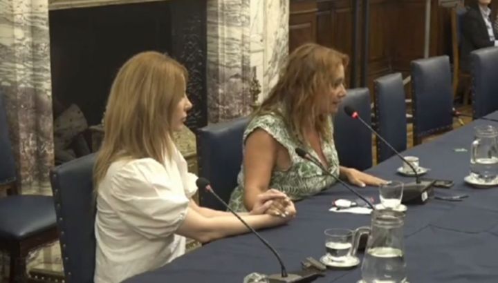 Nancy Pazos reveló en el Congreso que sufrió acoso y agresiones por un ministro de Alberto Fernández: "Nos sentimos humilladas y vulneradas"