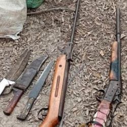 Cuchillos y armas decomisadas.