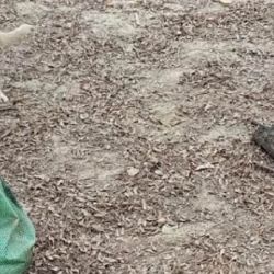 Llevaban más de 40 kilos de carne faenada en bolsas.