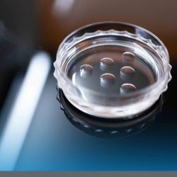 Sexualidad y Reproducción Asistida: Cuidarme y Cuidarnos | Foto:CEDOC