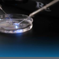 Sexualidad y Reproducción Asistida: Cuidarme y Cuidarnos | Foto:CEDOC