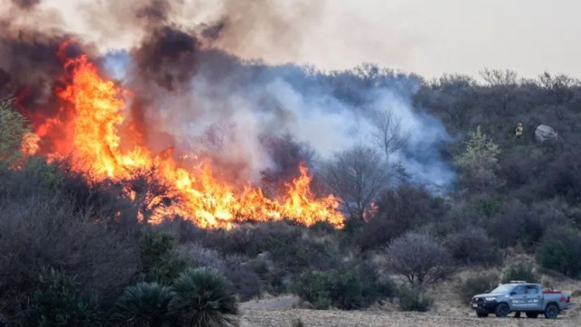 Salsa Carter: Man responsible for Buena Vista area forest fires convicted