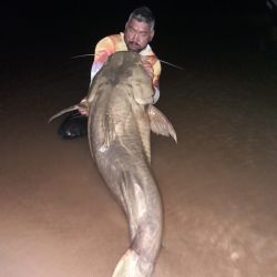 Estiman que el manguruyú midió 1.40 m, y casi 80 kg de peso, de una captura que se dio al caer la noche, anclados y con miñoca, y que luego de las imágenes de rigor fue devuelto al agua como corresponde.