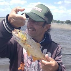 0811_mapa_pique_pesca