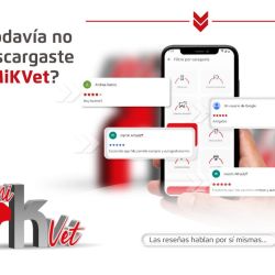 La revolución digital en veterinaria ya llegó: conocé MiKVet | Foto:CEDOC