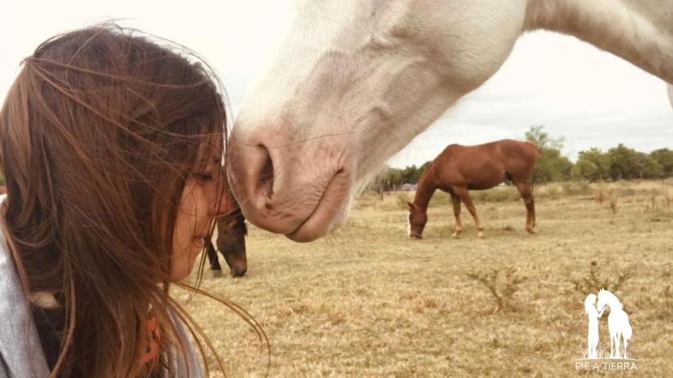 "Pie a Tierra: Transformación y Conexión a Través de los Caballos"