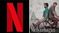 “Meiyazhagan” de Netflix