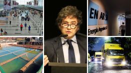 Javier Milei - empresas públicas 20241110