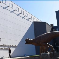 La sala paleontológica vuelve a recibir visitas.
