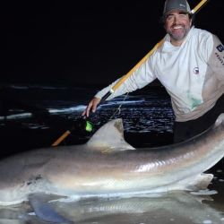 Se viene un fin de semana largo, uno de los últimos del año. Será momento para aprovechar el buen pique tanto disfrutando de la pesca recreativa como de la buena cantidad de concursos y fiestas que se anuncian.