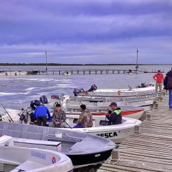 Se viene un fin de semana largo, uno de los últimos del año. Será momento para aprovechar el buen pique tanto disfrutando de la pesca recreativa como de la buena cantidad de concursos y fiestas que se anuncian.