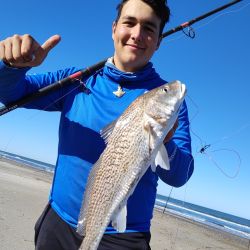 San Clemente es una gran opción para combinar pesca de costa y embarcados, en un rendimiento óptimo que se repite en otros balnearios del Partido de la Costa.