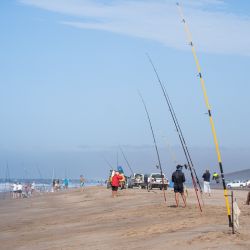 San Cayetano brinda buenas playas para la practica de la actividad, con una calidad de corvinas que promete ir en ascenso en las próximas semanas.