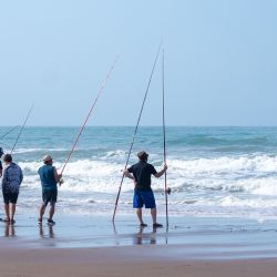 San Cayetano brinda buenas playas para la practica de la actividad, con una calidad de corvinas que promete ir en ascenso en las próximas semanas.