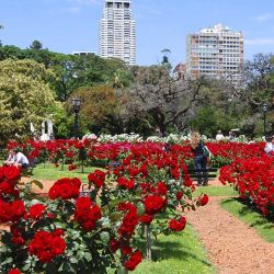 El Rosedal