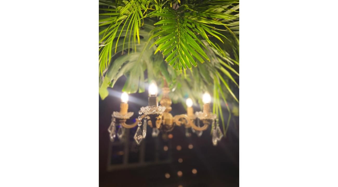 Tertulia Eventos: Creando Experiencias Únicas y Memorables
