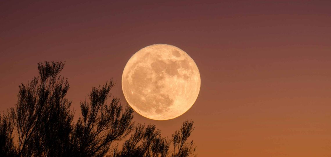 Superluna de Castor: cómo nos afecta y qué rituales realizar para nuestro beneficio
