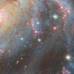 Cerca del centro se encuentran algunas estrellas particularmente espectaculares.