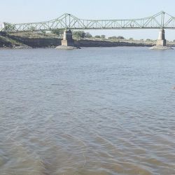 La carpa pasó de ser un pez poco valorado por los pescadores a un baluarte importante de la actividad en territorio bonaerense. Mucho tuvo que ver el auge del Carpfishing. 