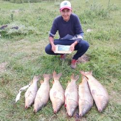 La carpa pasó de ser un pez poco valorado por los pescadores a un baluarte importante de la actividad en territorio bonaerense. Mucho tuvo que ver el auge del Carpfishing. 