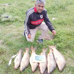 La carpa pasó de ser un pez poco valorado por los pescadores a un baluarte importante de la actividad en territorio bonaerense. Mucho tuvo que ver el auge del Carpfishing. 