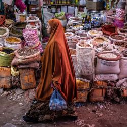 Una mujer lleva una bolsa con verduras mientras pasa frente a una tienda de especias en el mercado de Waheen, en Hargeisa. El mercado de Waheen es el más grande de Somalilandia y uno de los más grandes del Cuerno de África, siendo un importante centro comercial. | Foto:LUIS TATO / AFP