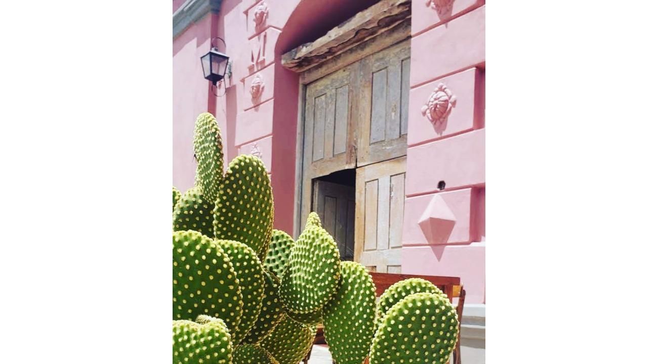 Finca La Sala: Un Refugio de Historia, Naturaleza y Gastronomía en Catamarca