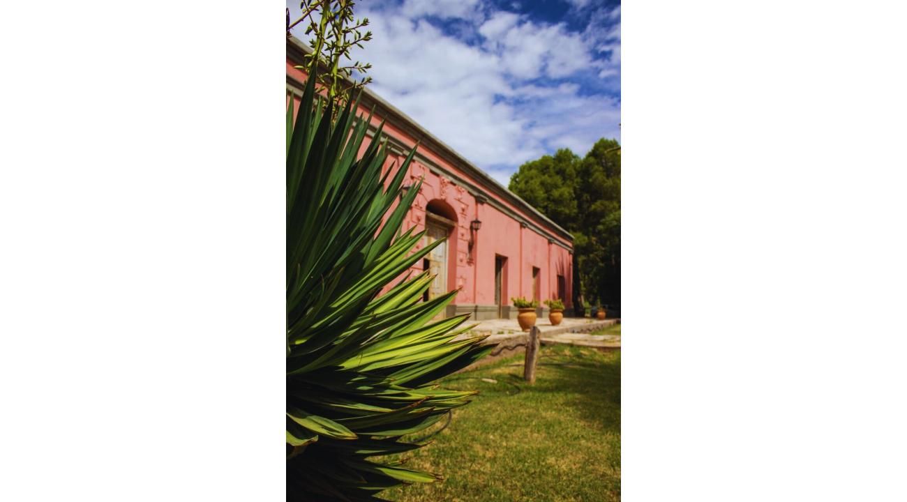 Finca La Sala: Un Refugio de Historia, Naturaleza y Gastronomía en Catamarca