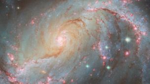 1211_galaxia NGC 1672